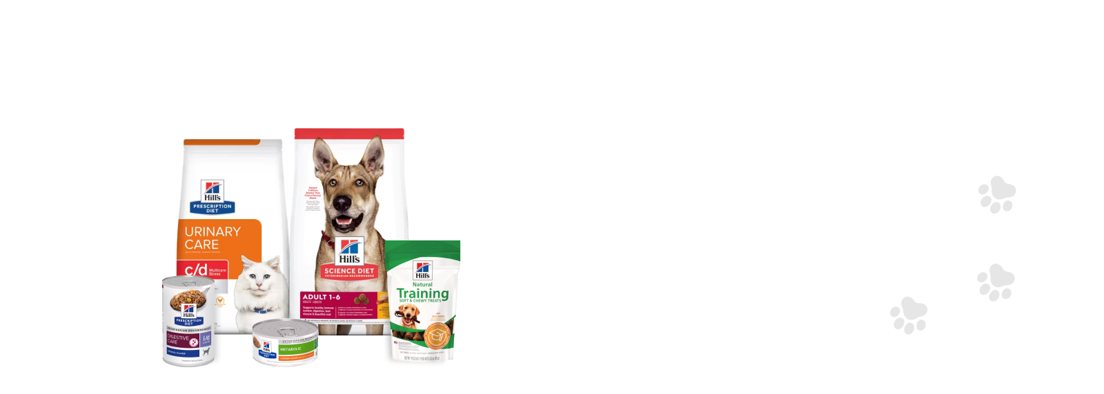 Natural Feeding: Benefits and Challenges in Pet Diets