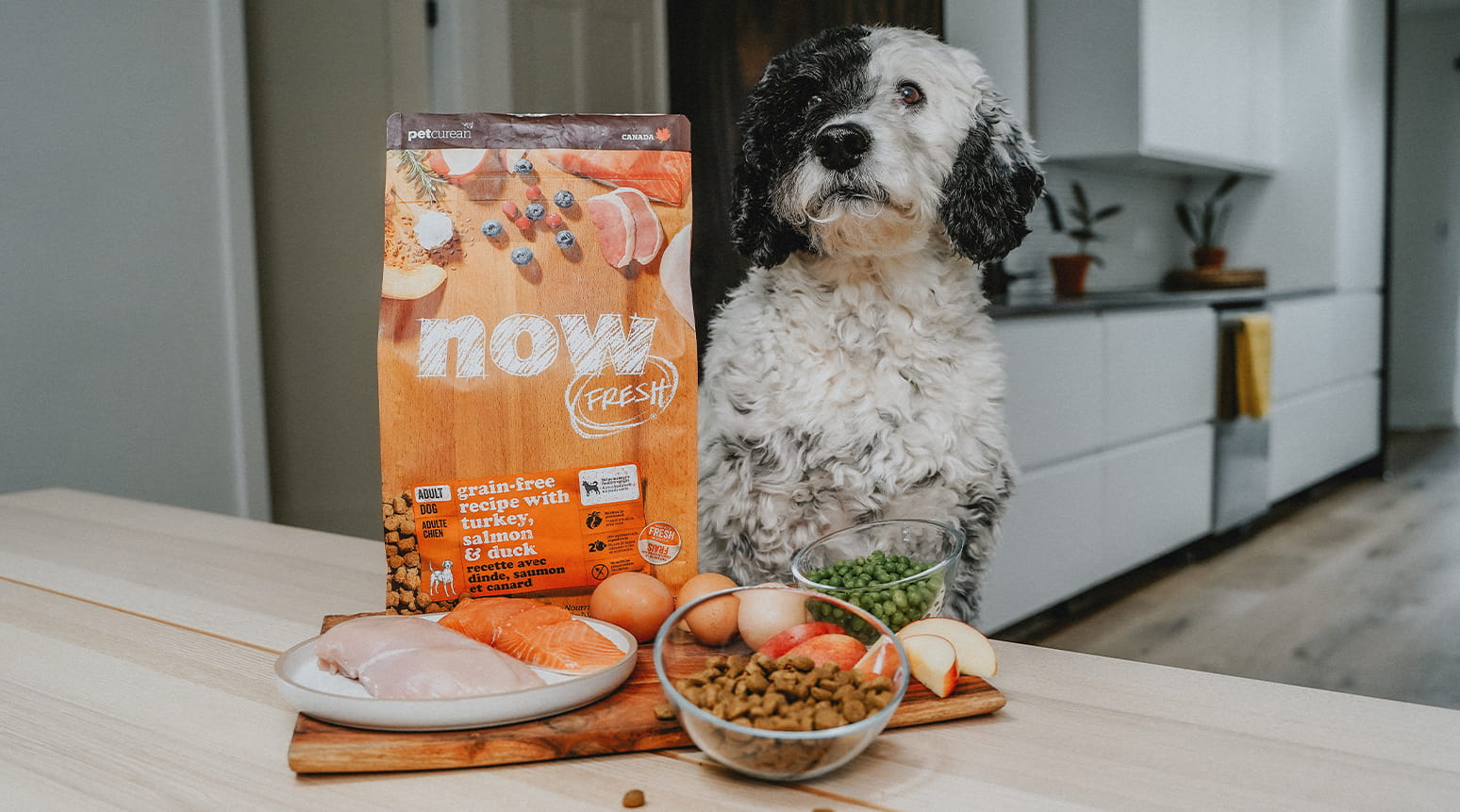 The Importance of Essential Nutrients in the Diet of Dogs and Cats